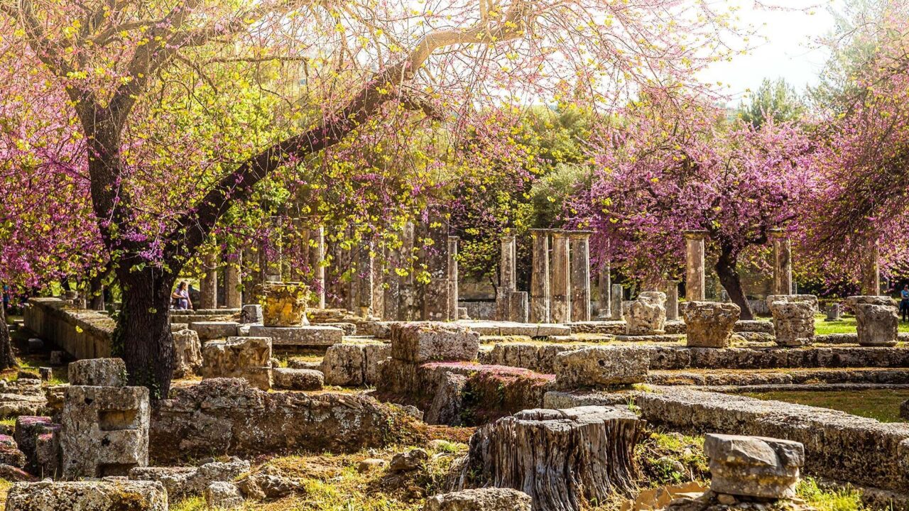 4 the best experience in ancient olympia is in spring when the olive groves and flowers are in bloom.jpg