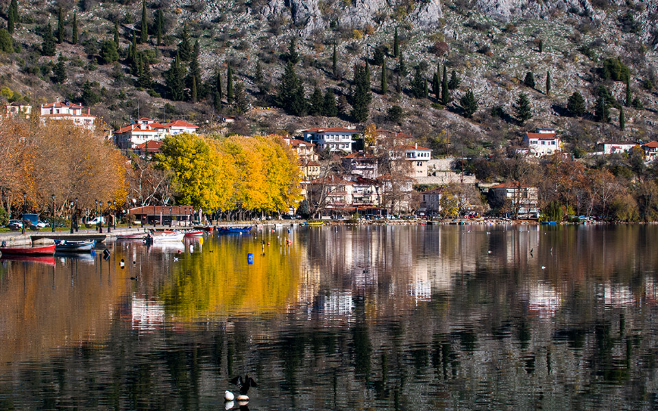 tour 1768817395 f6edd81b87cc271d.jpg