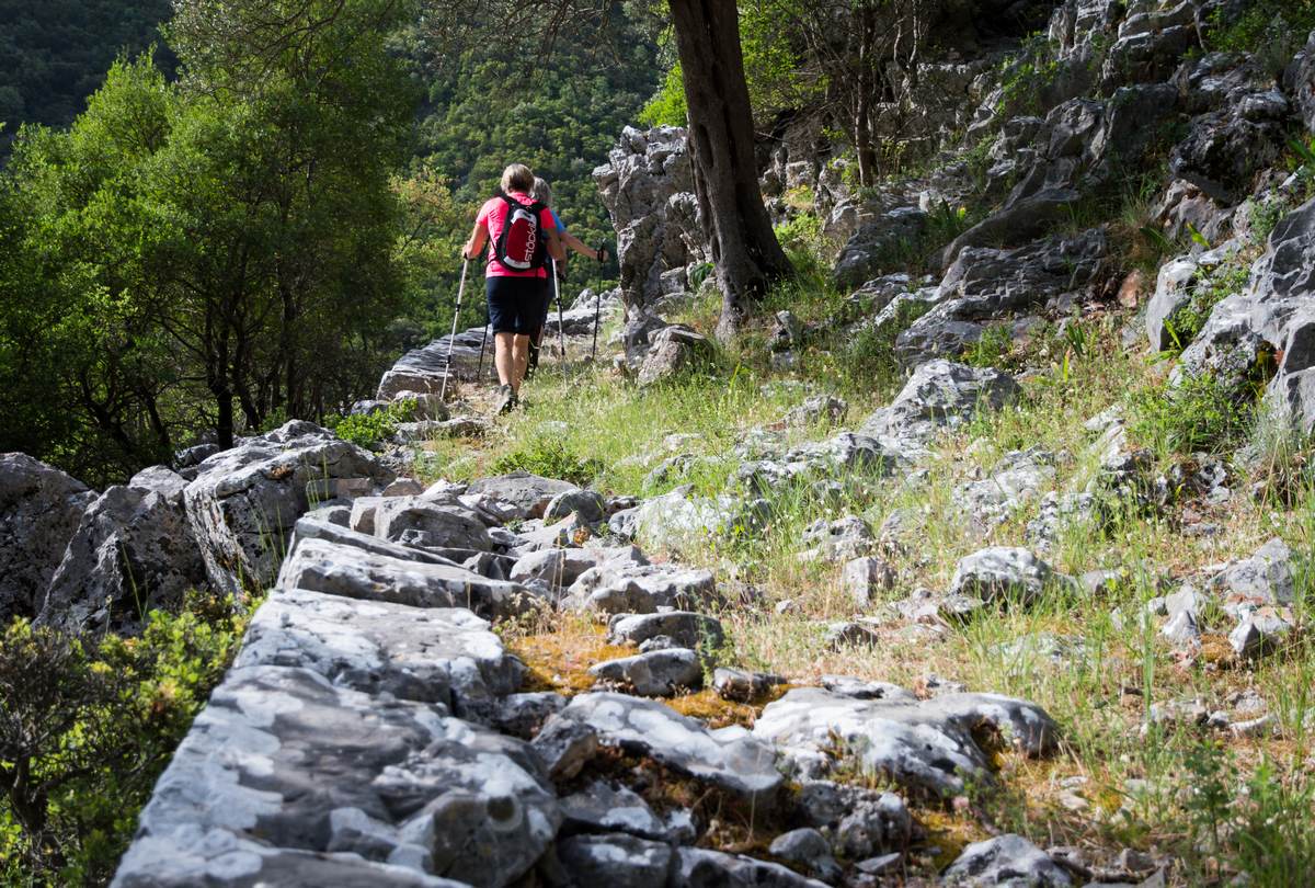 Hiking over Kalamata 0353