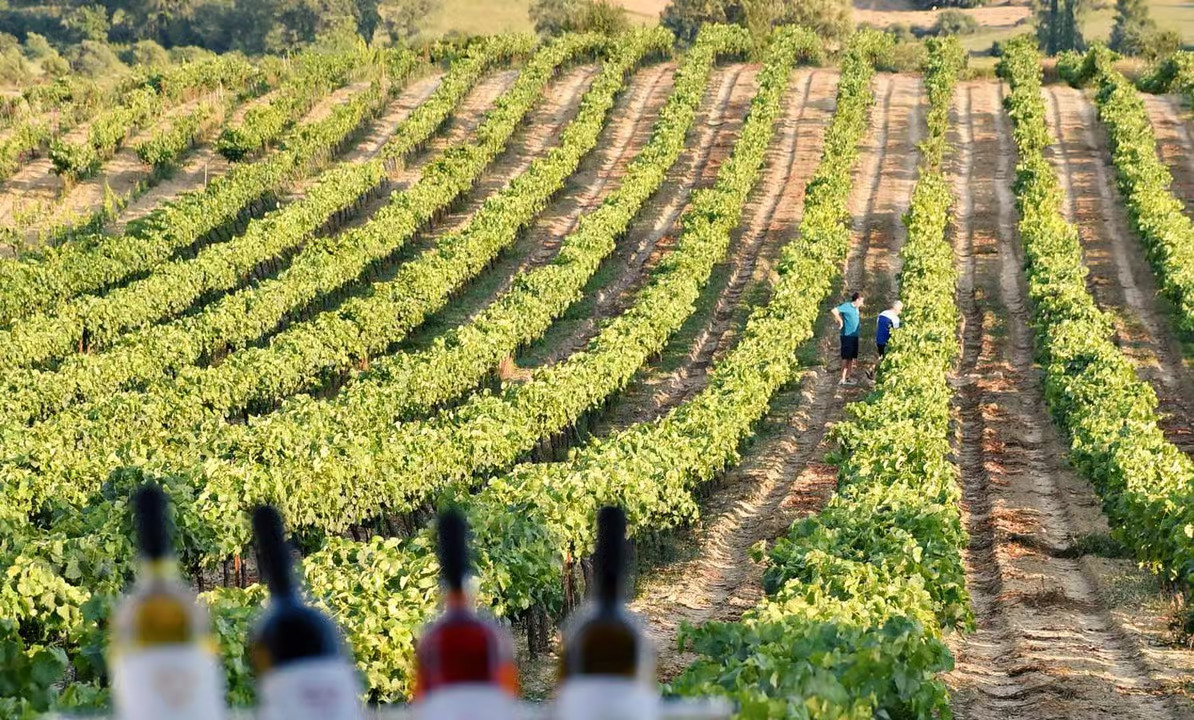 Katakolon Olympia Honey Farm Winery shore excursion 1.jpg