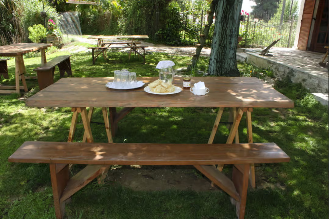 Katakolon Olympia Honey Farm Winery shore excursion 2.jpg