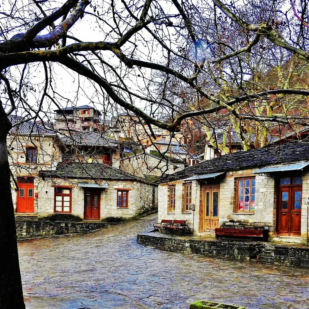 visitkonitsa 321474768 2375225645960395 5466618194320162165 n.jpg